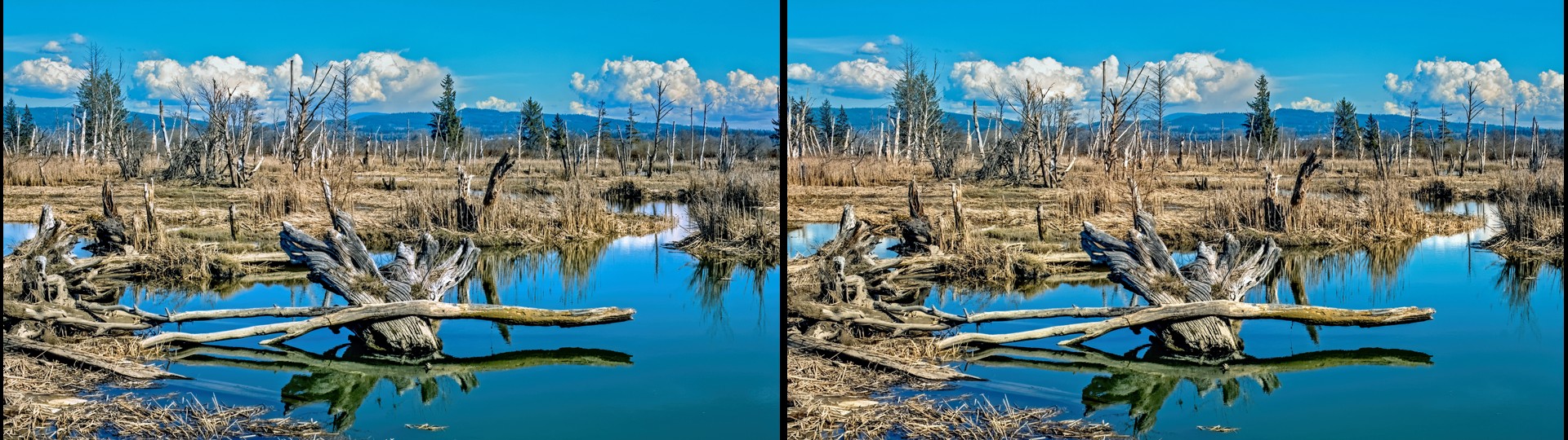 Delta Reflections